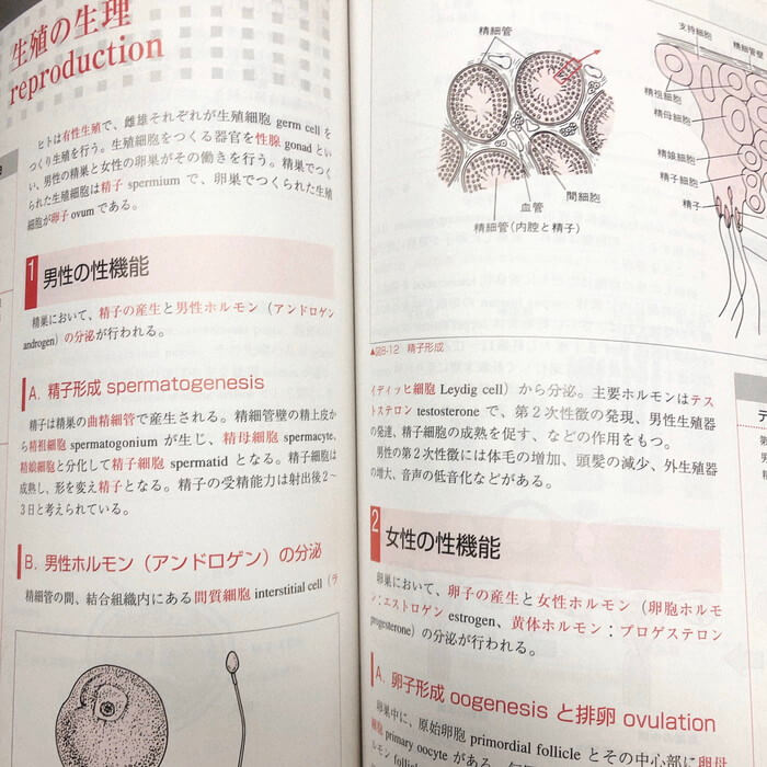 マジックハンズ・セラピストアカデミーテキスト